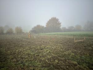 Haus, bauen, Hamburg 02