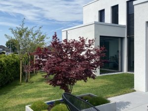 Referenz Bauhausstil 36